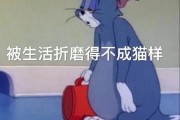 相约文案沙雕，相约文案沙雕句子
