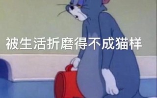 相约文案沙雕，相约文案沙雕句子