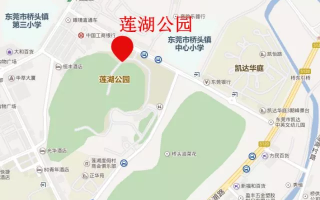 东莞到广州游玩攻略，东莞到广州坐什么车方便