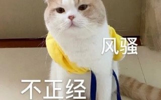 GIF图片文案沙雕，gif动图沙雕