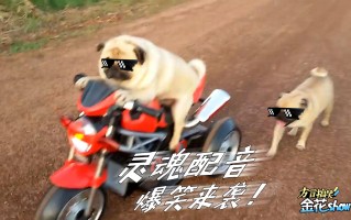 恶搞意外视频集锦，恶搞意外视频集锦大全