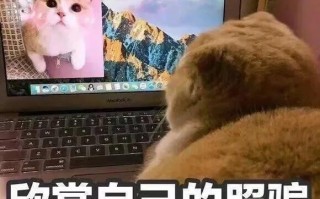 沙雕文案大脸，沙雕文案大脸图片
