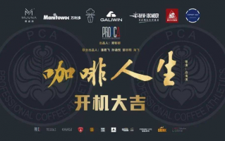 悬疑短剧国产2024，悬疑短剧国产