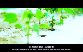 种田恶搞视频，种田恶搞视频大全