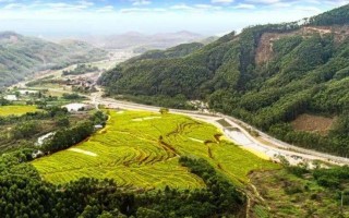 佛山农家游玩攻略，佛山农家游玩攻略一日游