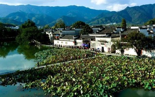 泸上古村游玩攻略，泸上古村游玩攻略大全
